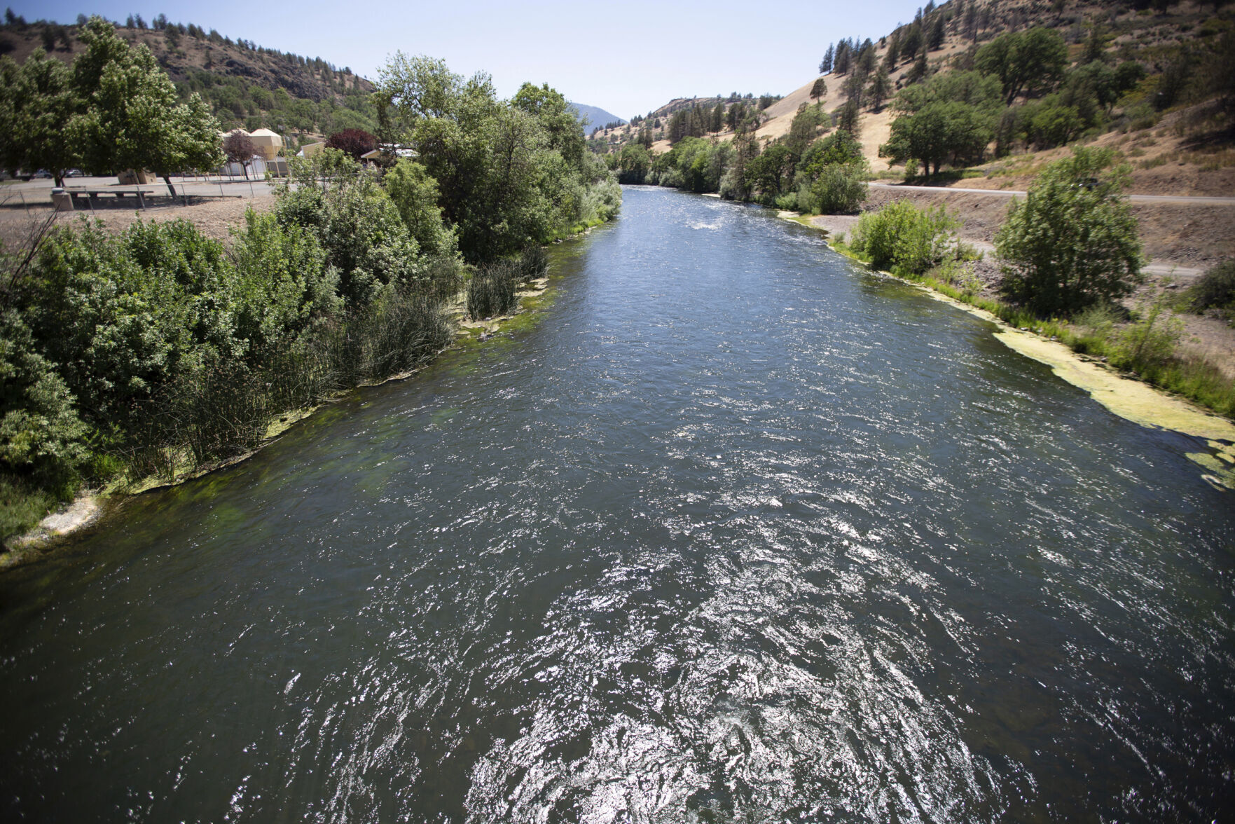 Warming Rivers Dying Fish